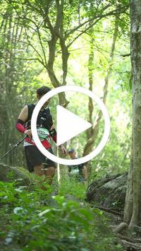 BIB:  <button type="button" onclick="openModal(27938685)" class="btn btn-primary btn-sm float-right" data-toggle="modal" data-target=".modal-high-quality">
                <i class="fa fa-download"></i> Download
                </button>